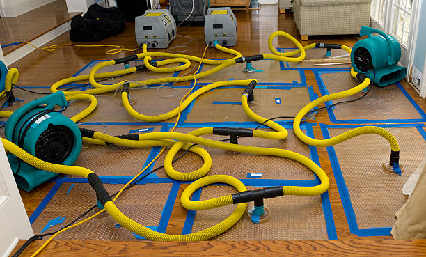 Professional Structural Drying And Dehumidification technician working in Yuma, CO